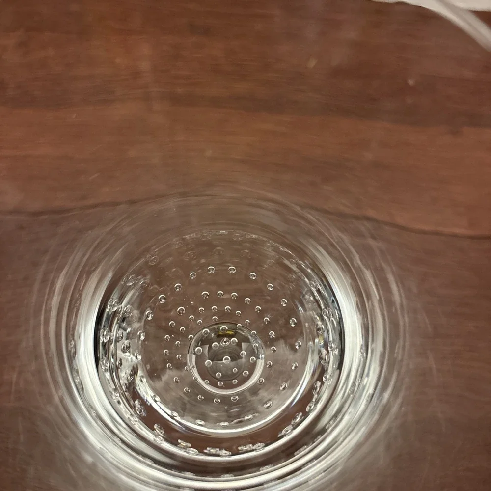 Pier 1 Bubbles Water Goblet 9 1/8